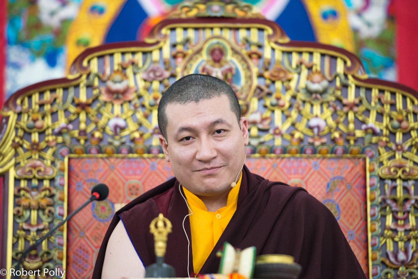 Thaye Dorje, Seine Heiligkeit der 17. Gyalwa Karmapa